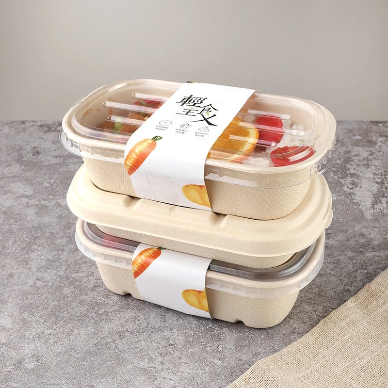 Eco-friendly Disposable Pulp Lunch Box for Takeout | Food Containers & Packaging