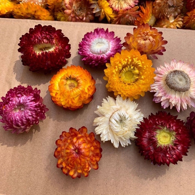 Festive Pine Cone Decorations for Christmas|Holiday Home Decor