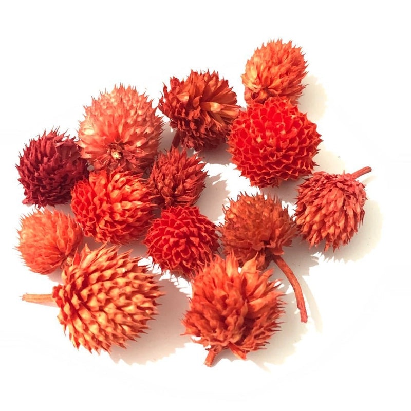 Festive Pine Cone Decorations for Christmas|Holiday Home Decor