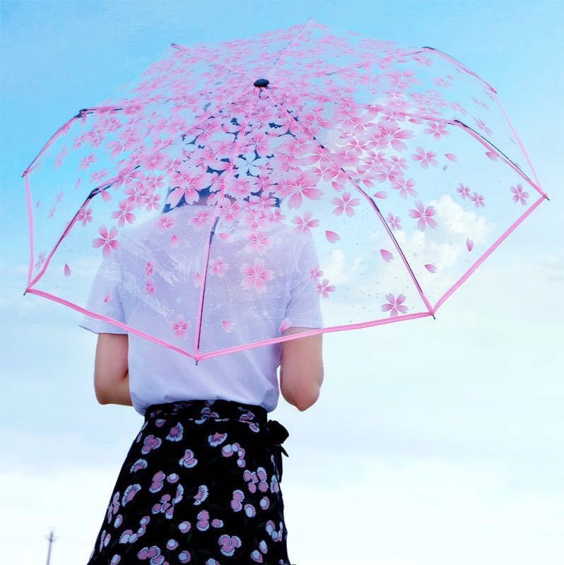 Small Daisy Automatic Folding Umbrella White Transparent Japanese Student Rain Sun Umbrella | Umbrellas & Rain Gear