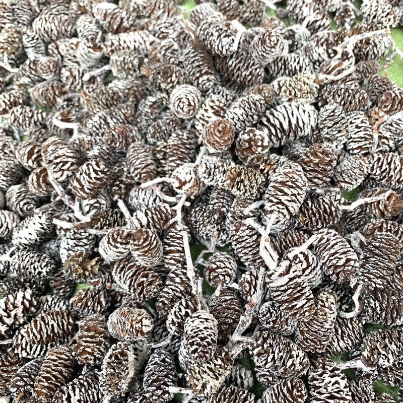 Festive Pine Cone Decorations for Christmas|Holiday Home Decor