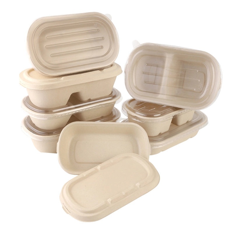 Eco-friendly Disposable Pulp Lunch Box for Takeout | Food Containers & Packaging