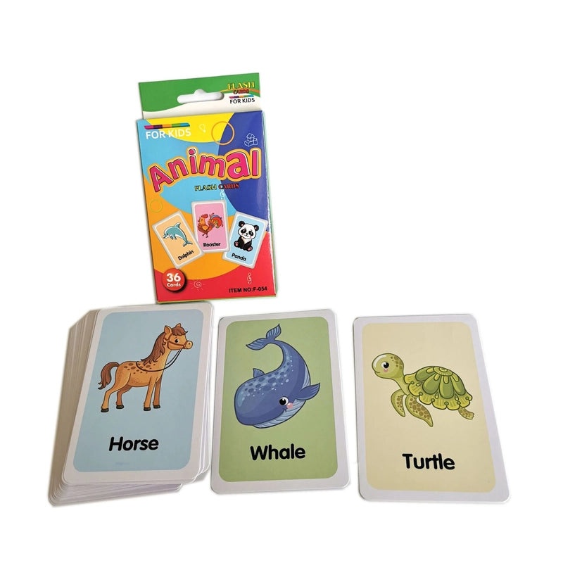 儿童早教彩色闪卡挂盒 教学辅助工具|儿童教育用品