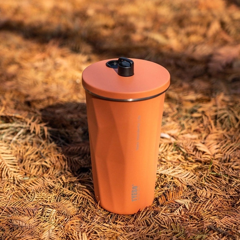 TYESO Taishuo Stainless Steel Insulated Coffee Cup with Straw and Ice Holder | Drinkware & Thermoses