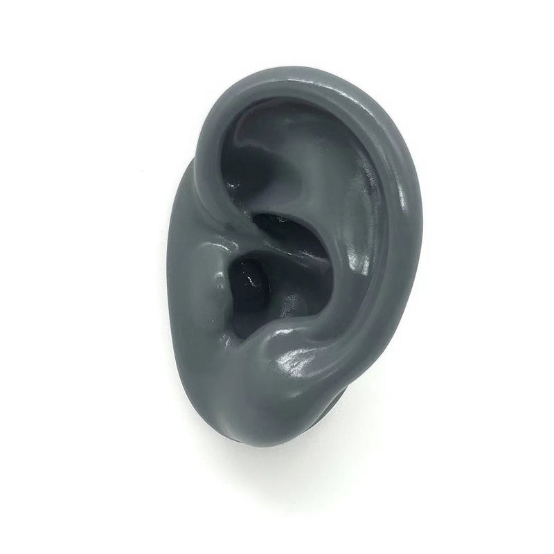 Soft Silicone Human Ear Model for Ear Cleaning Training and Medical Display|Medical Supplies