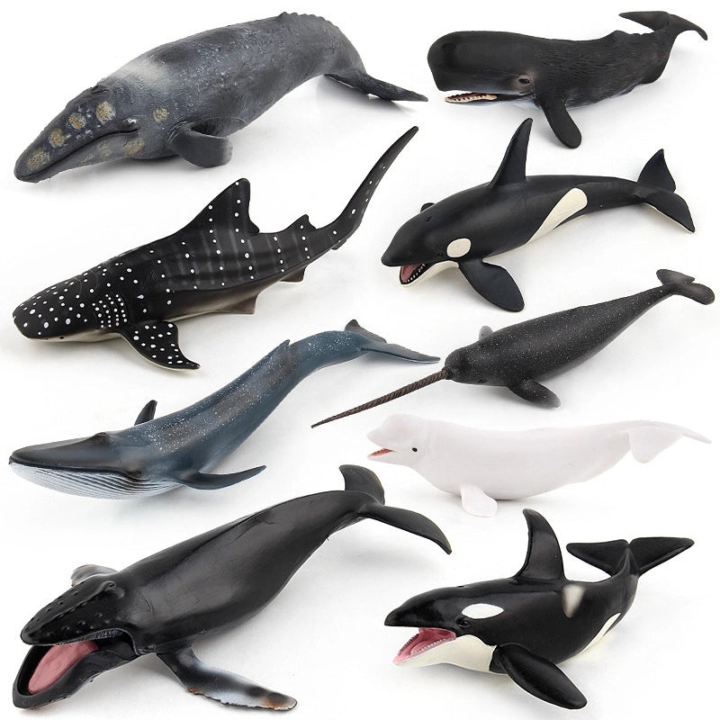 Realistic Marine Animal Toy Set|Educational Marine Life Models|Whale and Narwhal Figure Collection|Ocean Animal Simulation Toys|Kids Learning Mod