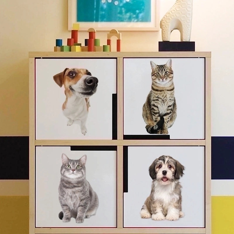 Adorable Rabbit Pet PVC Wall Decal for Dog and Cat Lovers | Home Decor