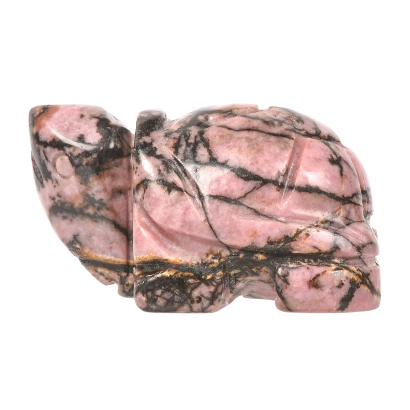 Minimalist Tortoise Gem Inspired Decorative Ornaments | Home Decor Accessories