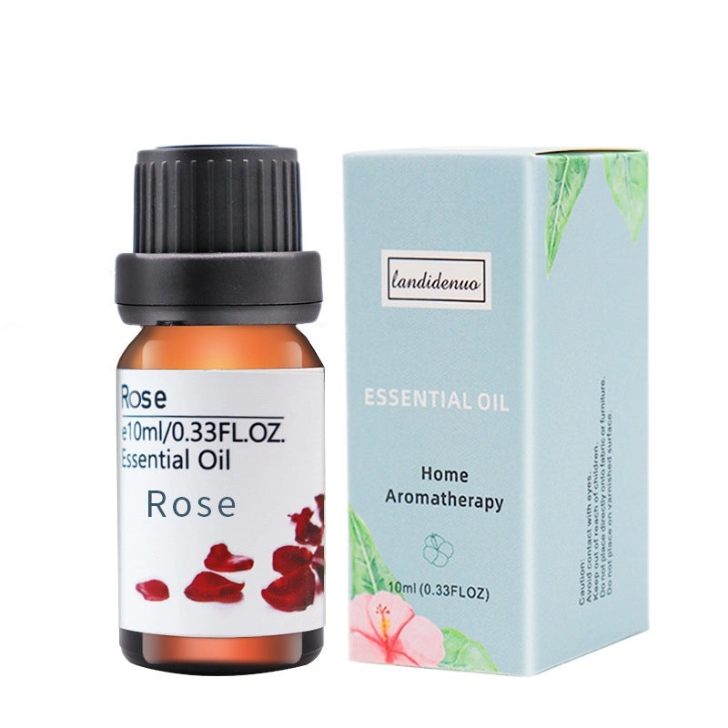 Colorful Casual Plastic Jewelry Organizer|Jewelry Storage & Display