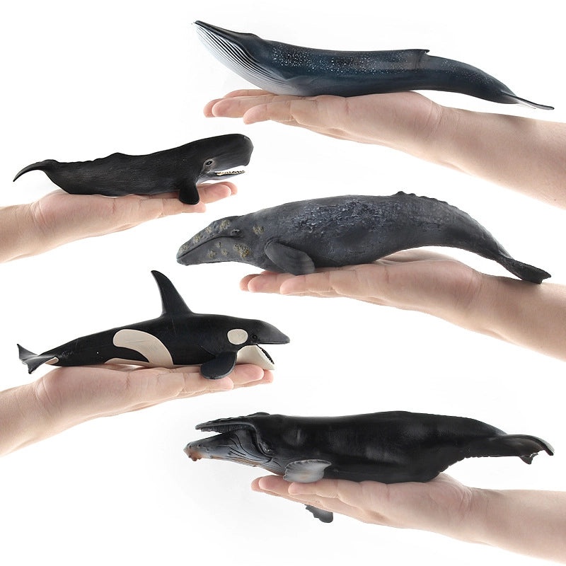 Realistic Marine Animal Toy Set|Educational Marine Life Models|Whale and Narwhal Figure Collection|Ocean Animal Simulation Toys|Kids Learning Mod