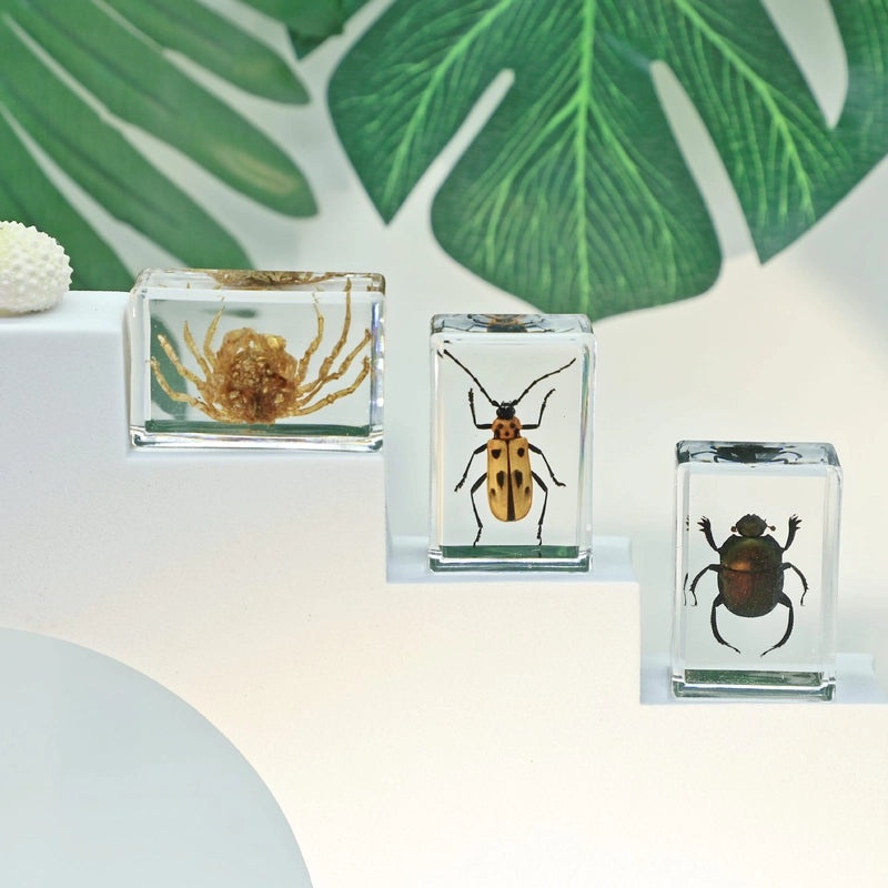 Halloween Resin Decorations with Ants, Spiders, and Butterflies|Seasonal Holiday Decor