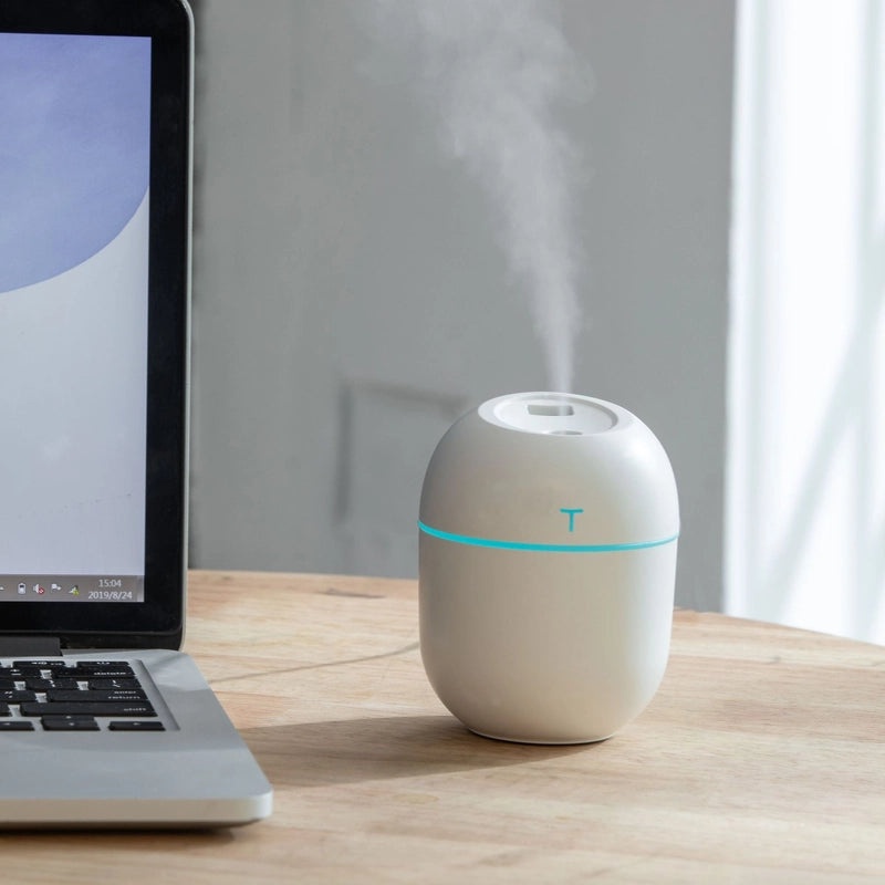Portable USB Egg-Shaped Humidifier Aromatherapy Diffuser for Office Desktop Car Large Mist Spray | Home & Office Aromatherapy Devices