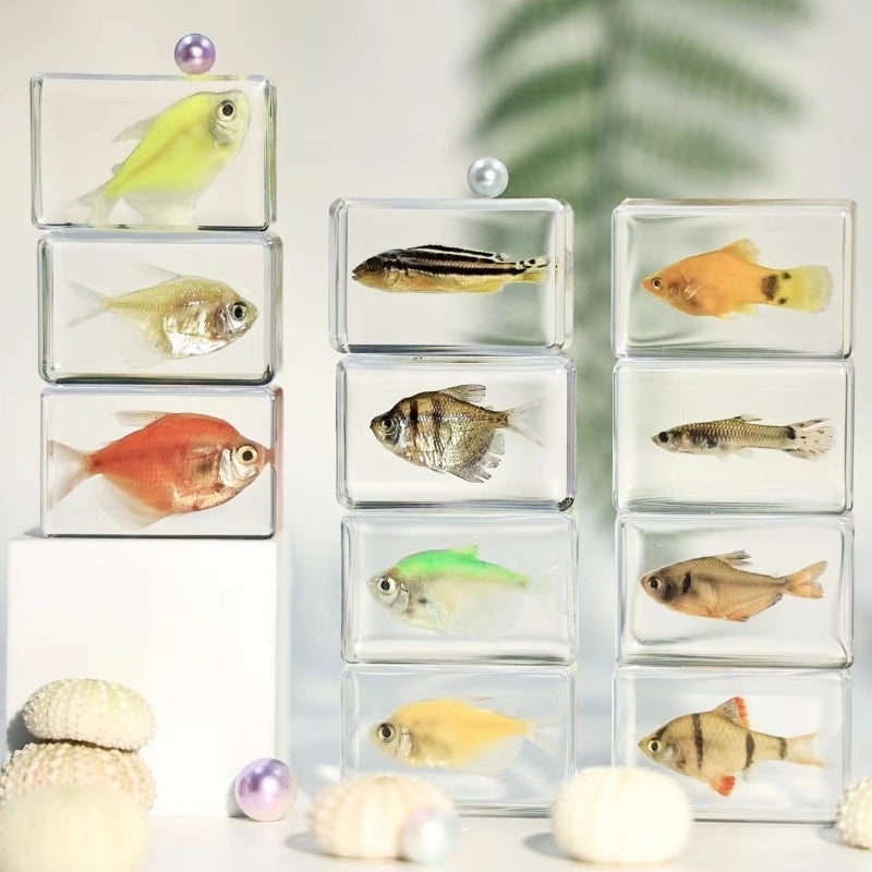 Minimalist Fish Resin Art Ornament|Home Decor