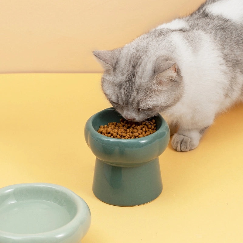 Automatic Cat Feeder for Pet Garden Supplies | Pet Feeding Equipment