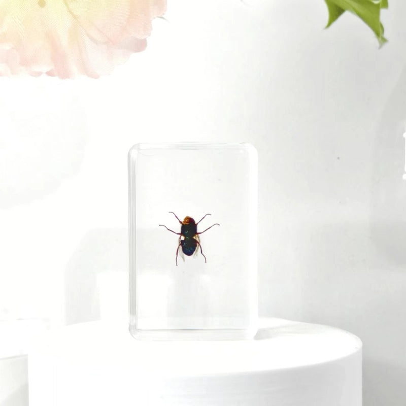 Halloween Resin Decorations with Ants, Spiders, and Butterflies|Seasonal Holiday Decor