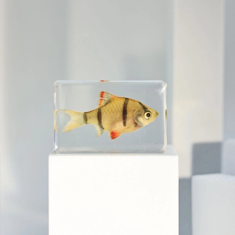 Minimalist Fish Resin Art Ornament|Home Decor