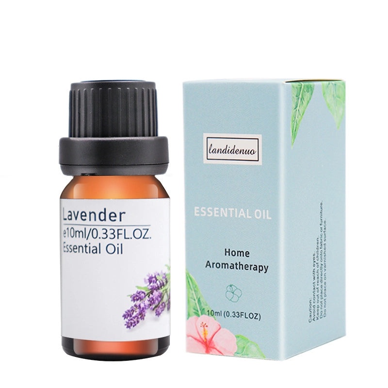 Colorful Casual Plastic Jewelry Organizer|Jewelry Storage & Display