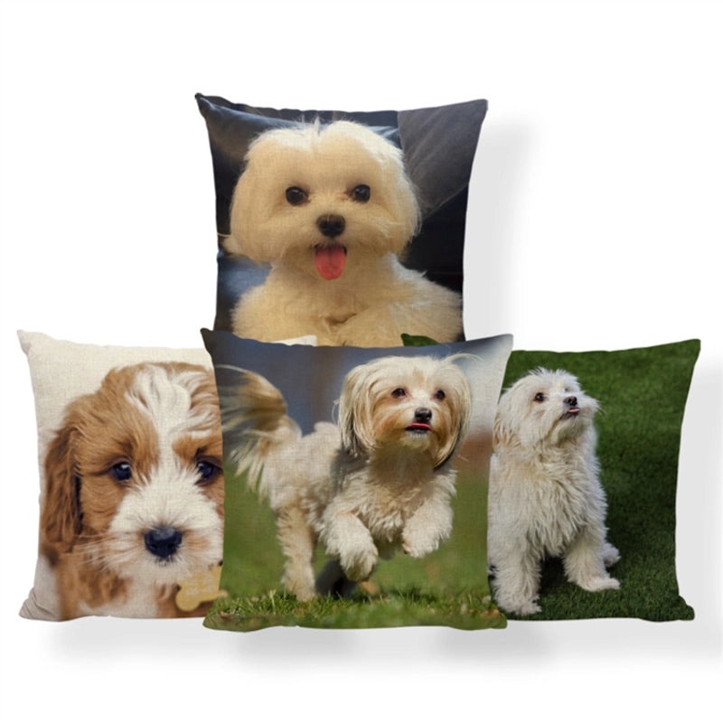 Cute Modern Animal Print Polyester Pillow Covers for Couch Sofa Decor|Home Decor & Pillows