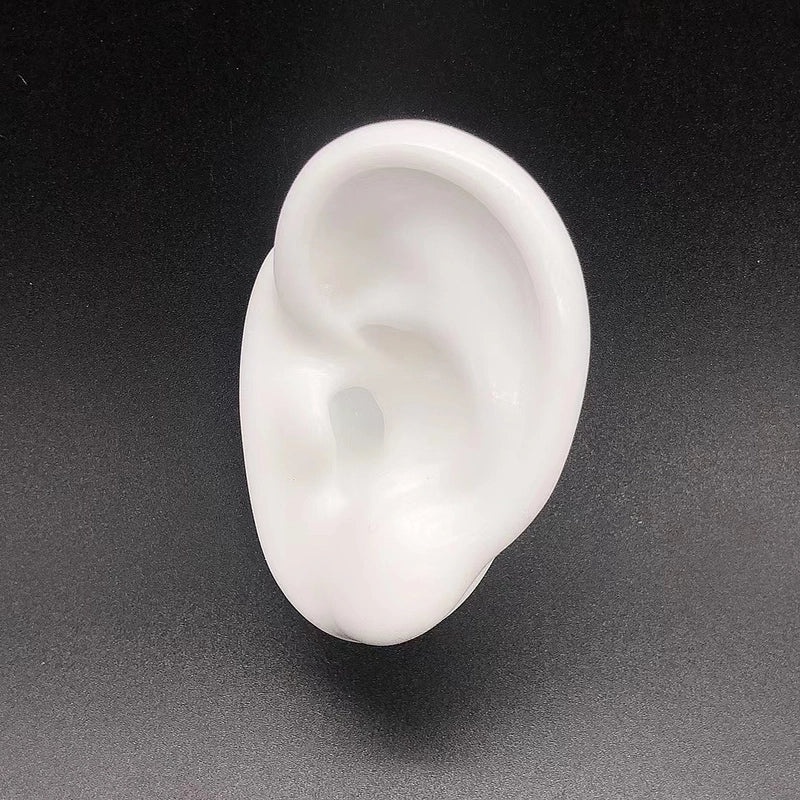 Soft Silicone Human Ear Model for Ear Cleaning Training and Medical Display|Medical Supplies