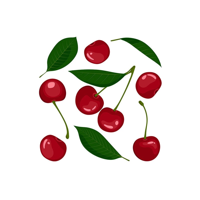 Cherry PVC Wall Decal for Windows|Home Decor & Accessories