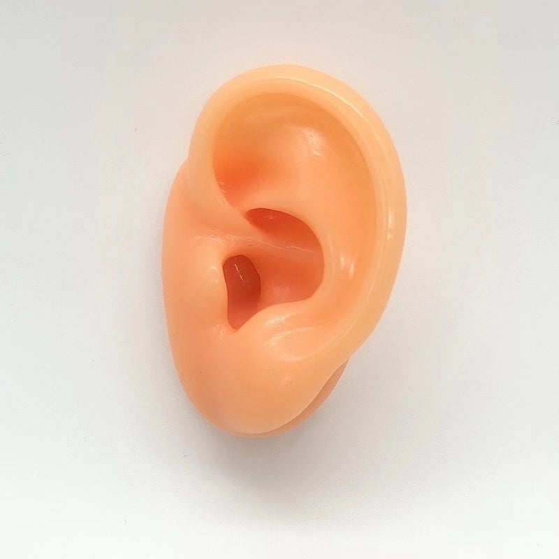 Soft Silicone Human Ear Model for Ear Cleaning Training and Medical Display|Medical Supplies