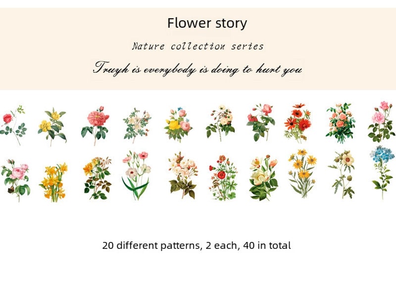 Natural Photo Collection Secret Window Pet Handbook Sticker Set 12 Styles Creative Plant DIY Decoration|Stationery & Craft Supplies