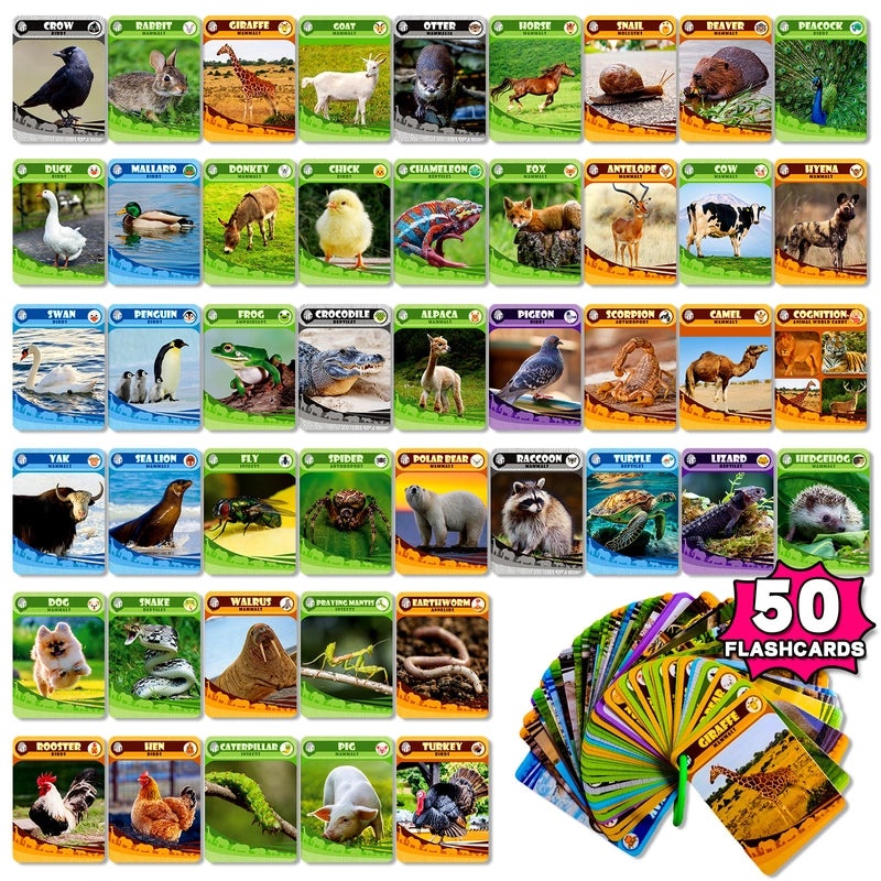 46 Engineering Vehicles Flash Cards for Kids|Early Education Educational Toys