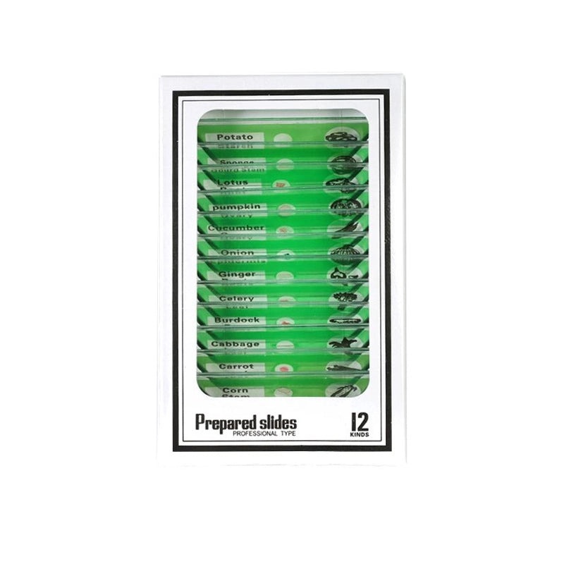 Educational Alphabet Plastic Toys for Kids|Learning & Educational Toys