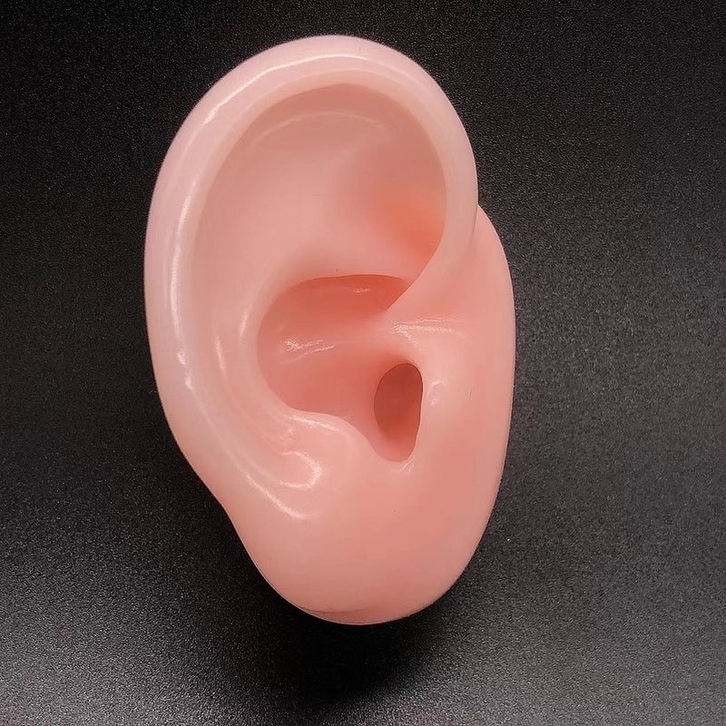 Soft Silicone Human Ear Model for Ear Cleaning Training and Medical Display|Medical Supplies