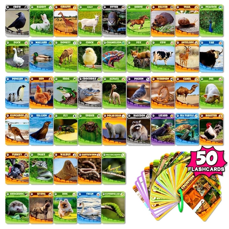 50 Realistic Animal Flash Cards for Kids|Early Childhood Education