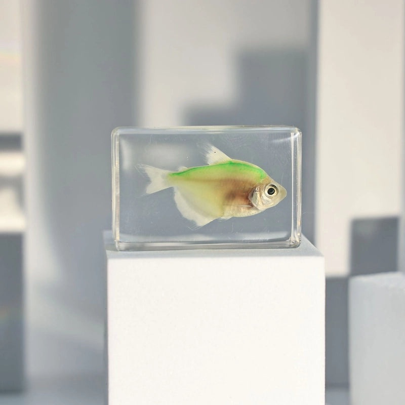 Minimalist Fish Resin Art Ornament|Home Decor