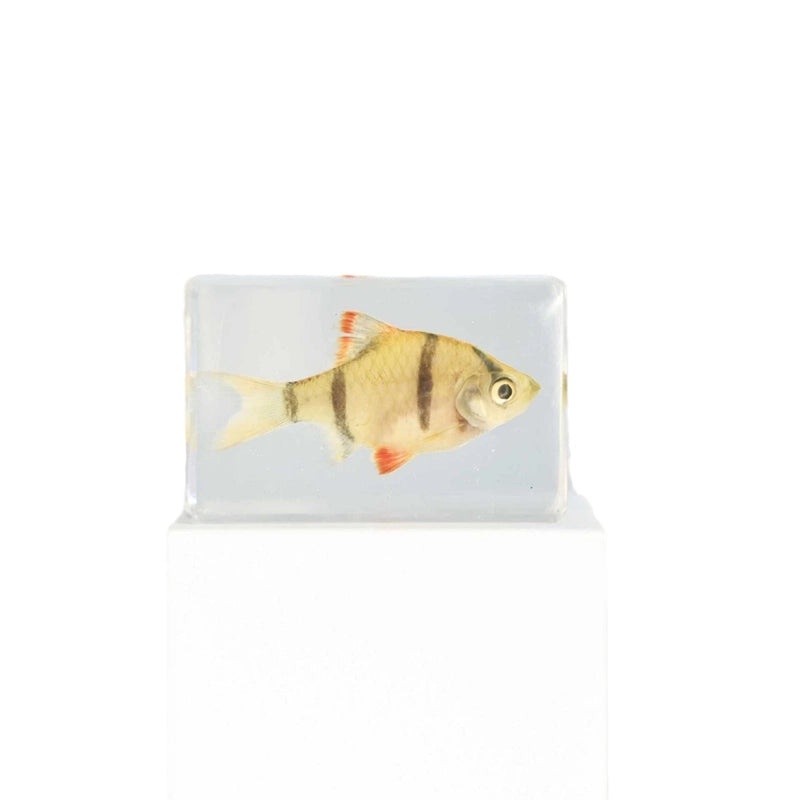 Minimalist Fish Resin Art Ornament|Home Decor