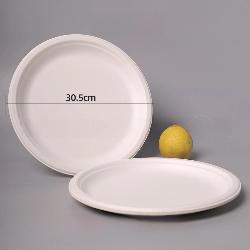 Disposable Biodegradable Sugarcane Pulp Paper Plates Thickened Dinner Plates for BBQ Cake Kindergarten DIY | Party Supplies & Disposable Tablewar