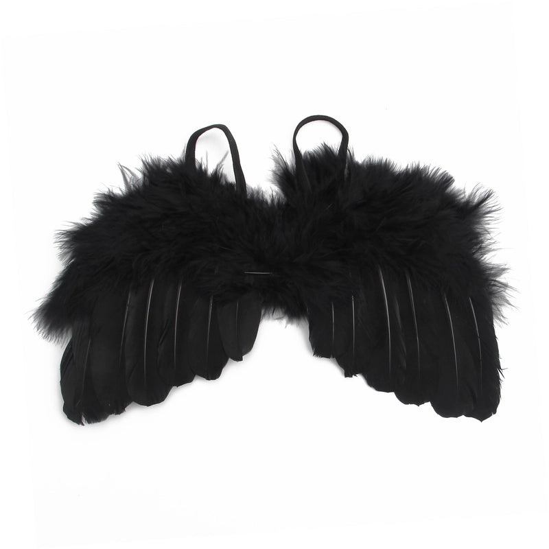 Feathered Wings Interactive Cat Toys|Pet Toys