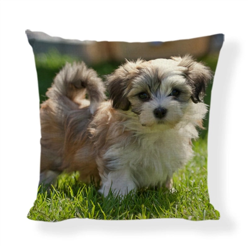 Cute Modern Animal Print Polyester Pillow Covers for Couch Sofa Decor|Home Decor & Pillows