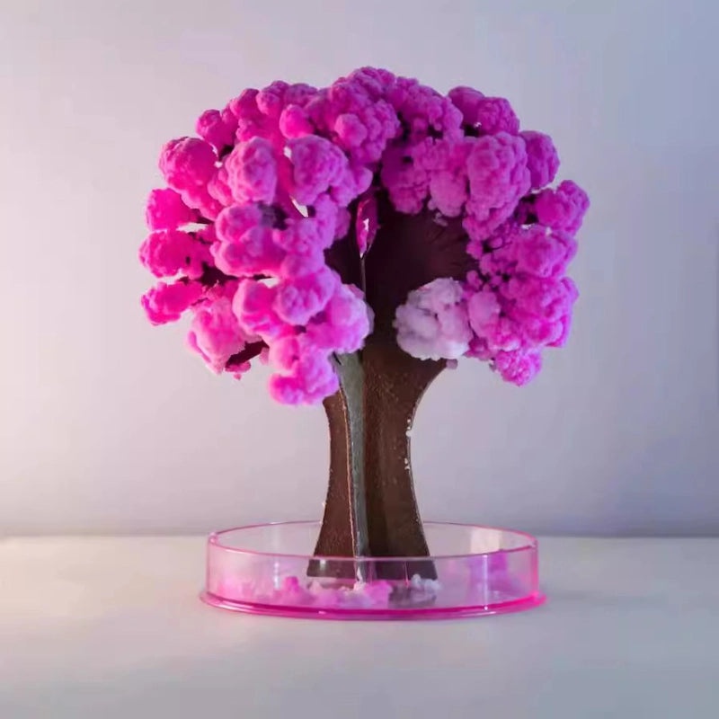 Magic Paper Blossom Tree DIY Kit for Kids | Children's Educational Toys
