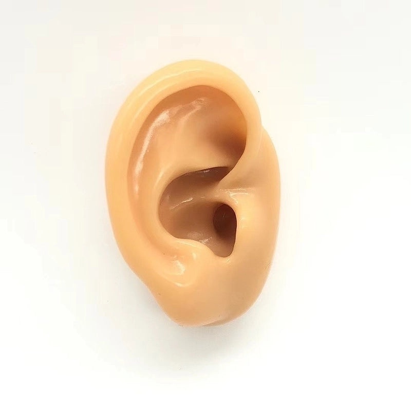 Soft Silicone Human Ear Model for Ear Cleaning Training and Medical Display|Medical Supplies