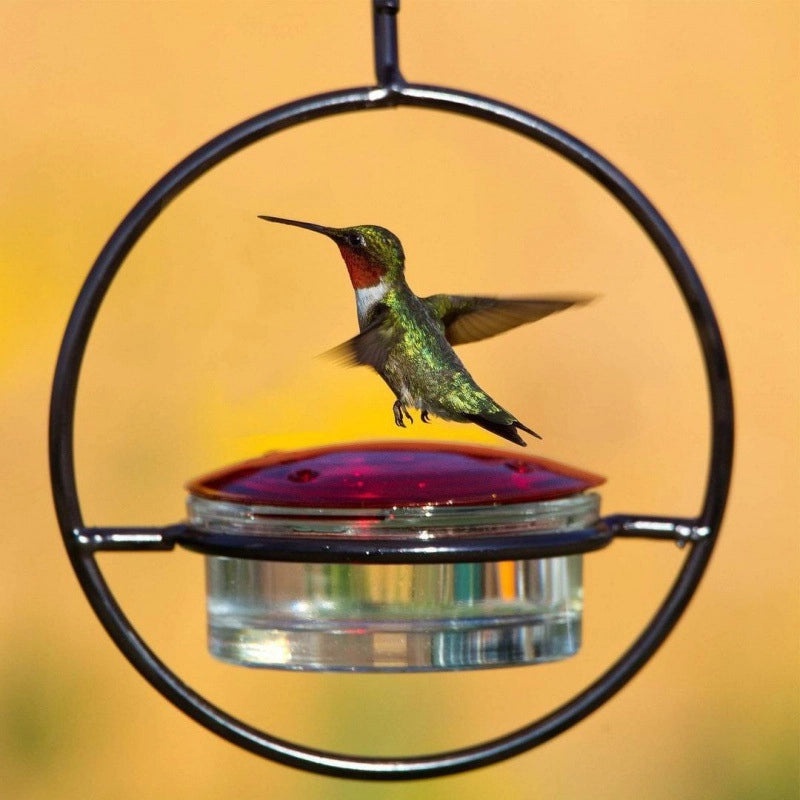 Hummingbird Feeder Metal Hanging Bird Feeder for Garden Yard Water Dispenser|Garden & Outdoor Decor
