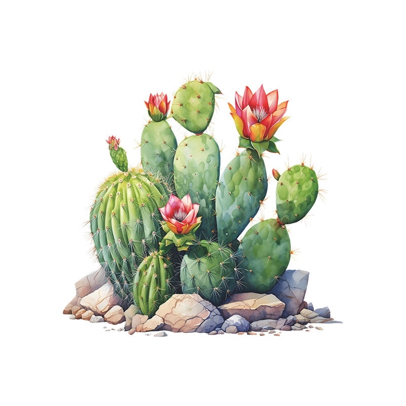 Pastoral Cactus PVC Wall Decal for Home Decor|Wall Stickers & Decals