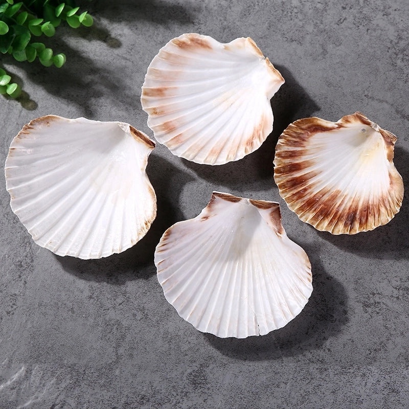 Beach Shell Ornaments Artificial Beach Decorations for Home and Party | Home Decor & Seasonal Decorations