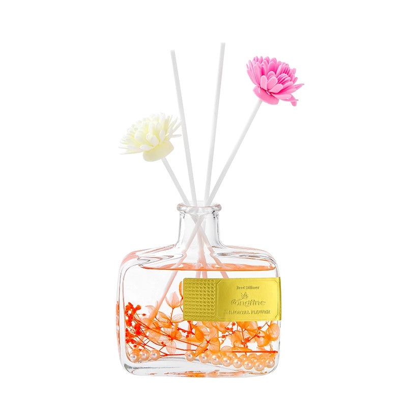 Elegant Casual Scented Liquid Home Fragrance for Women | Home Fragrance