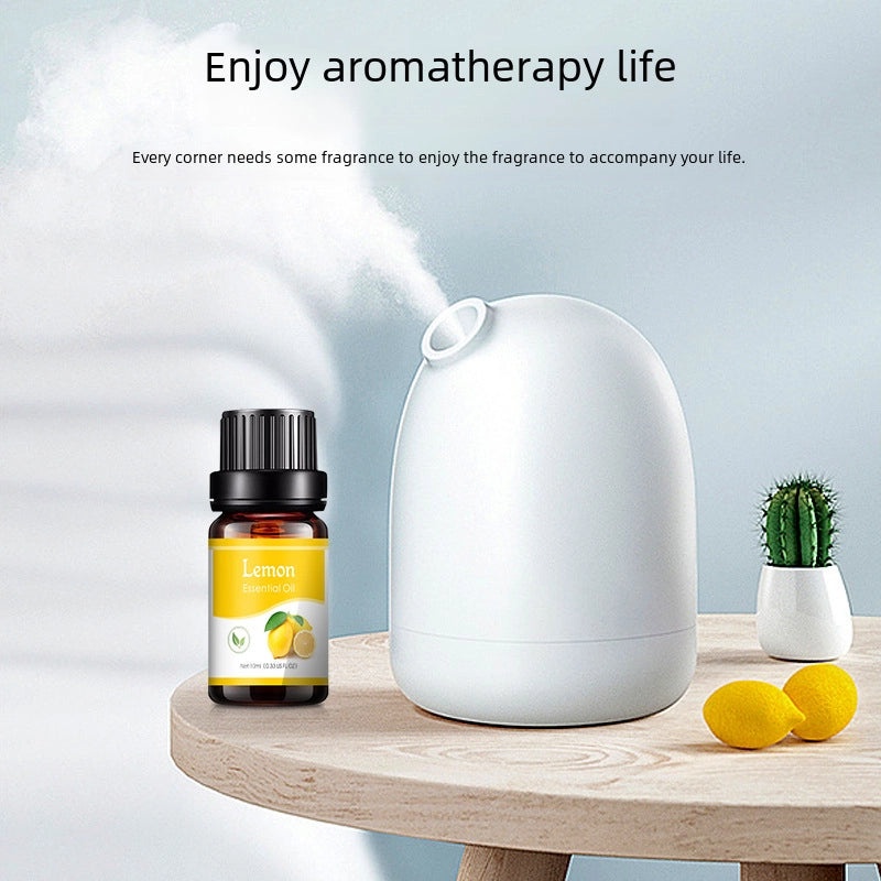 Fragrance Moment Aromatherapy Humidifier with Lavender Essential Oil 10ml | Home & Living > Aroma Therapy & Diffusers