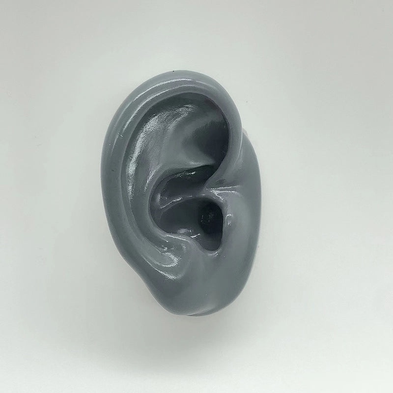 Soft Silicone Human Ear Model for Ear Cleaning Training and Medical Display|Medical Supplies