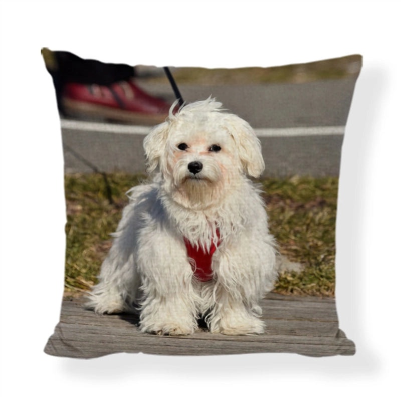 Cute Modern Animal Print Polyester Pillow Covers for Couch Sofa Decor|Home Decor & Pillows