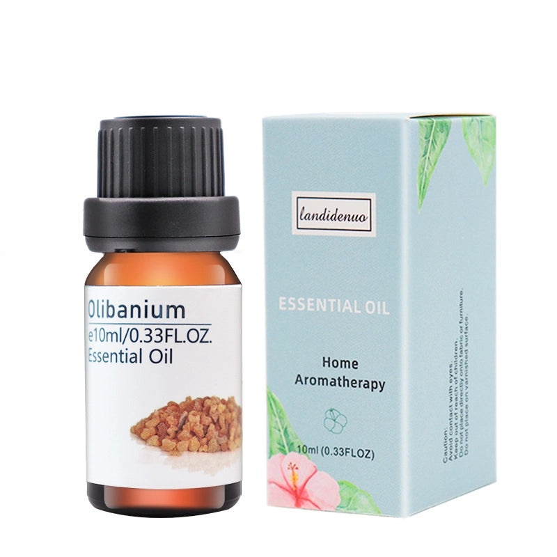 Colorful Casual Plastic Jewelry Organizer|Jewelry Storage & Display