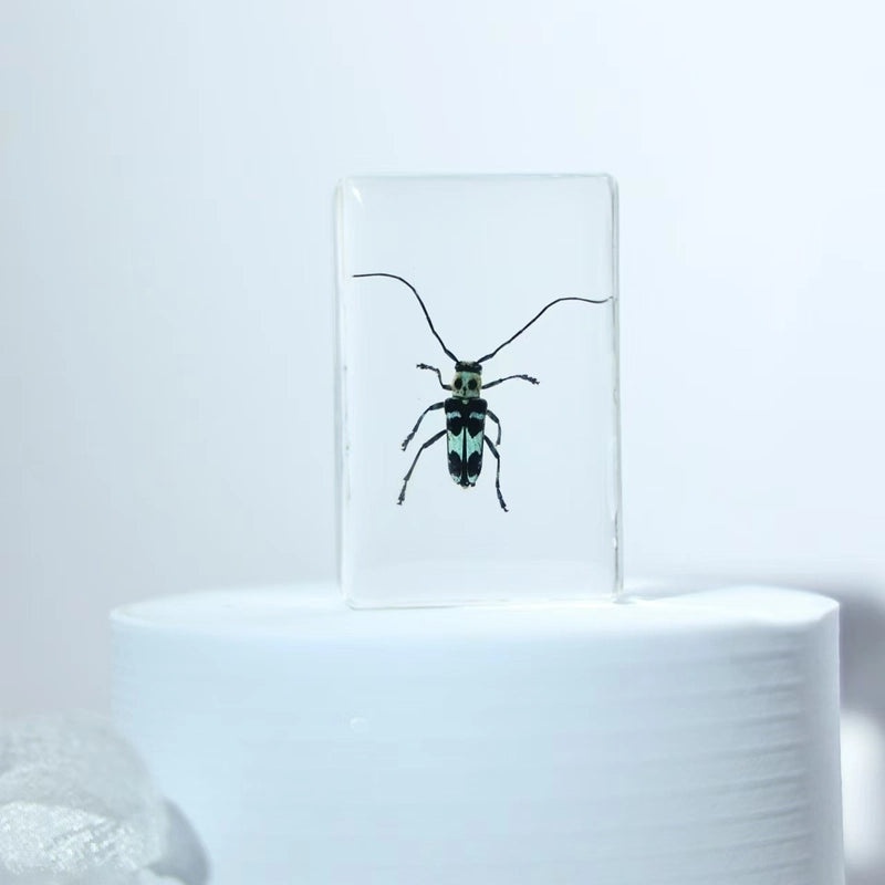 Halloween Resin Decorations with Ants, Spiders, and Butterflies|Seasonal Holiday Decor
