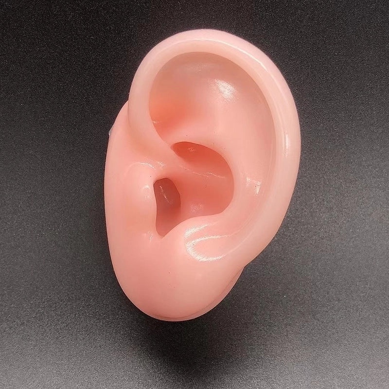 Soft Silicone Human Ear Model for Ear Cleaning Training and Medical Display|Medical Supplies