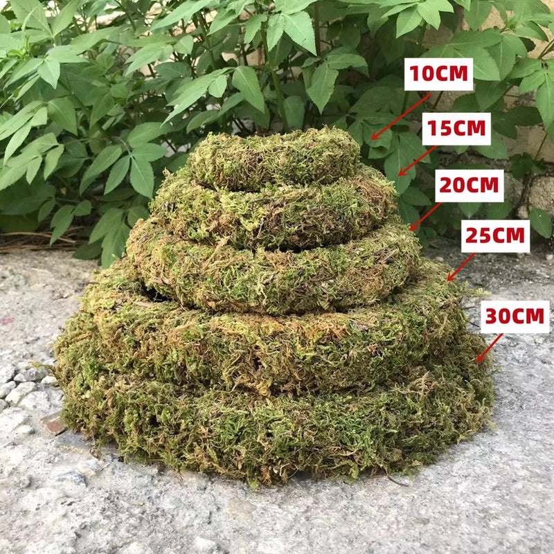 Handmade DIY Moss Wreath for Christmas Decoration | Home Decor