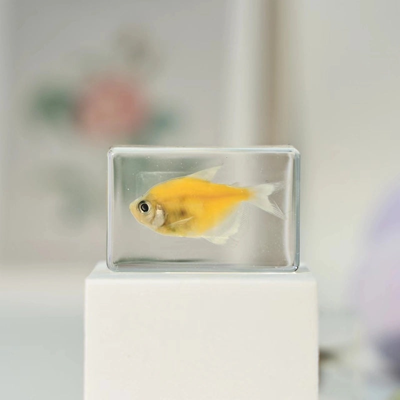 Minimalist Fish Resin Art Ornament|Home Decor
