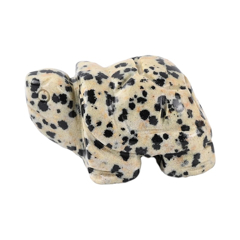 Minimalist Tortoise Gem Inspired Decorative Ornaments | Home Decor Accessories